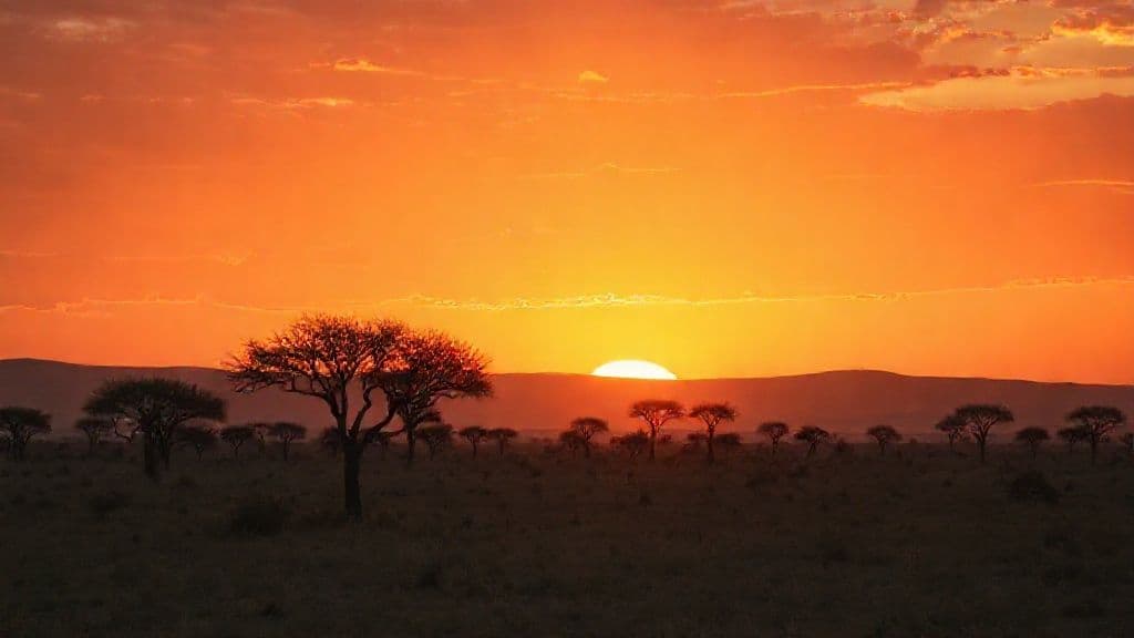 Namibian Safari Landscape